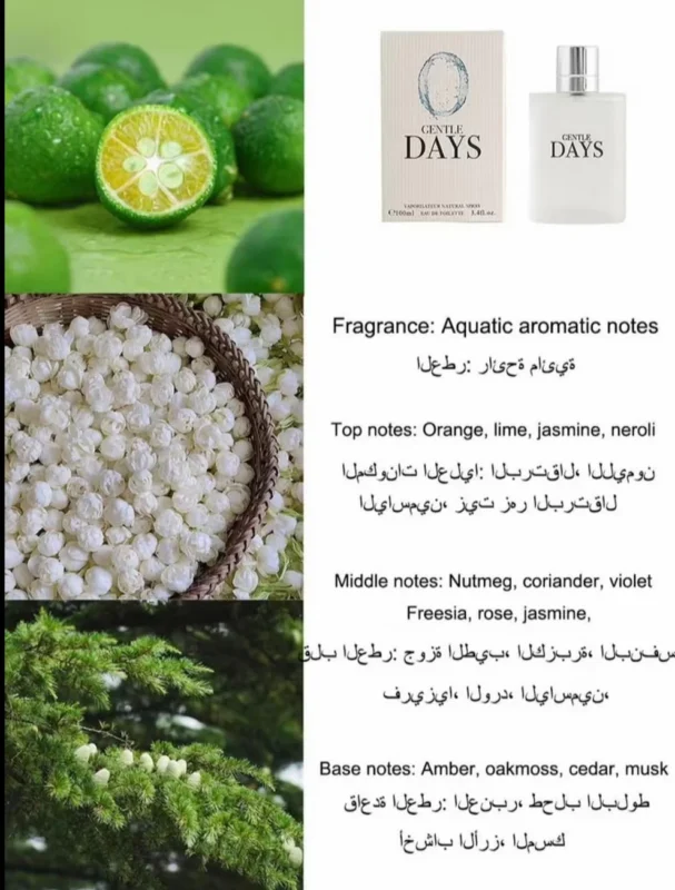 GENTLE DAYS Aquatic Aromatic Perfume 100 ML